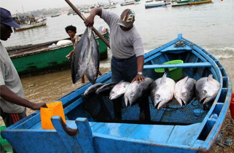 Aprovado Programa Nacional para Desenvolvimento das Vilas Piscatórias