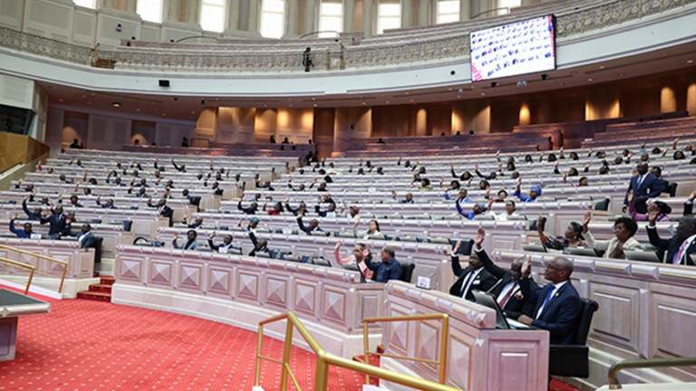 Deputados rejeitam projecto para “regular a democracia”